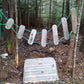 Toy Maker of Lunenburg Child care Products Outdoor Wood Slat Xylophone