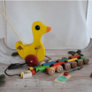 Toy Maker of Lunenburg Push/Pull Toy Toddler Walking Bundle