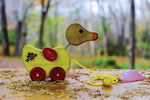 Toy Maker of Lunenburg Push/Pull Toy Wooden Duck Pull Toy 2