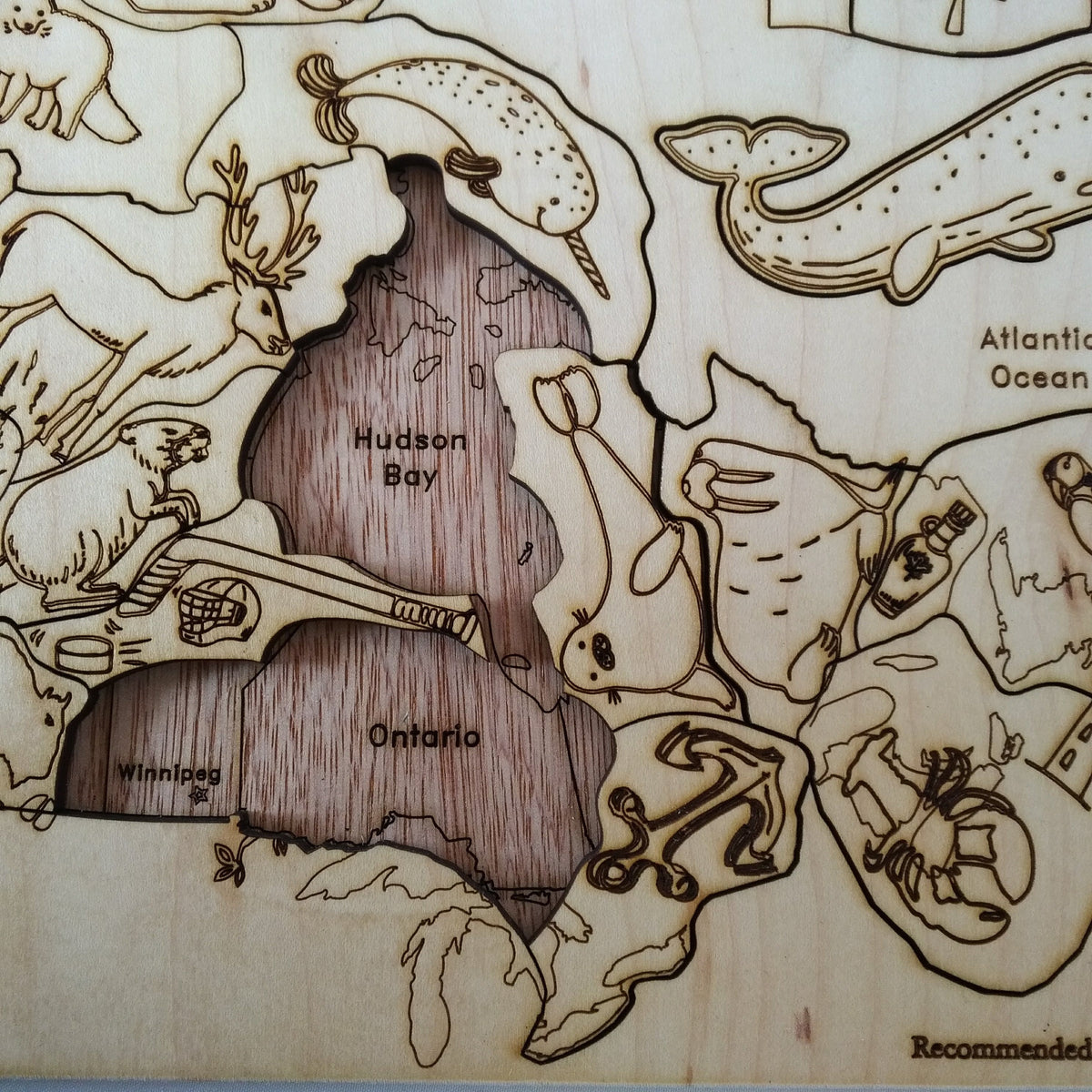 Toy Maker of Lunenburg Puzzle Kids Canada Map Puzzle with Native Animals