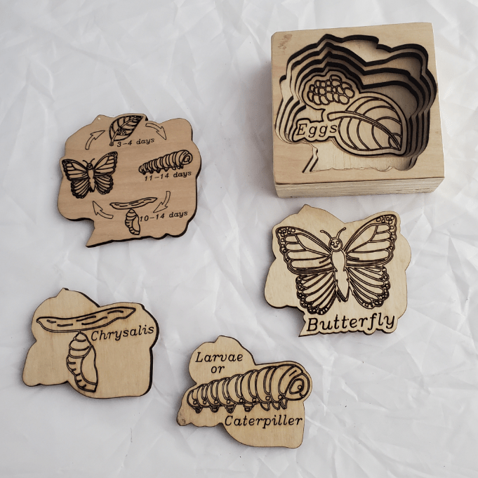 Wooden Butterfly Life Cycle Puzzle Toy Maker of Lunenburg
