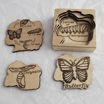 Toy Maker of Lunenburg Toys & Games Butterfly Life Cycle Wooden Puzzle 3