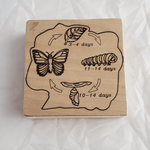 Toy Maker of Lunenburg Toys & Games Butterfly Life Cycle Wooden Puzzle 6